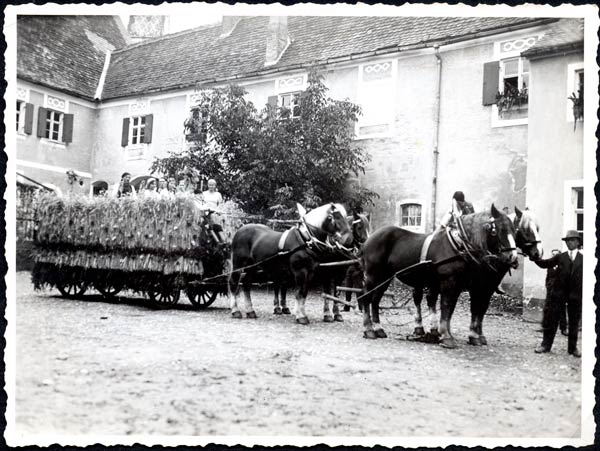 Unsere Hengste ziehen den prächtig geschmückten Erntedankwagen | Foto: Privat, ca.1935